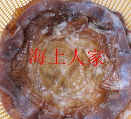 尋找咸水產品,廣東沿海一帶有沒有泥螺 海蜇 蝦干等... 看圖片