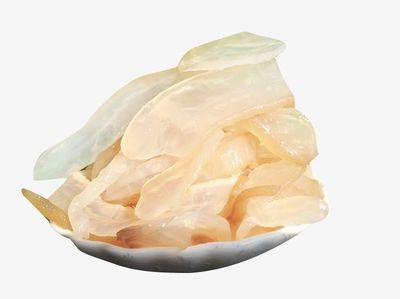 厚實的海蜇素材_新圖網