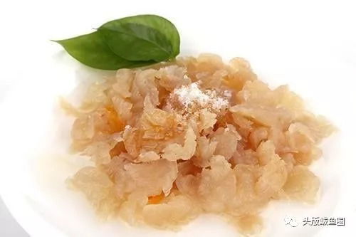 定了 2018中國 營口海蜇節(jié)新聞發(fā)布會(huì)召開,萌萌噠吉祥物首次亮相