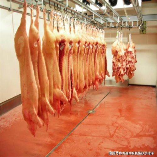 食品廠冷庫為何使用聚氨酯砂漿地坪