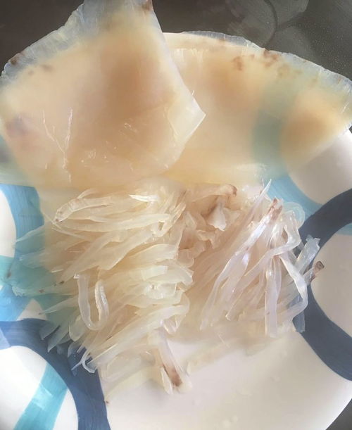 備年貨新選擇 加勒比海純野生海蜇，口感鮮美，脆而不硬