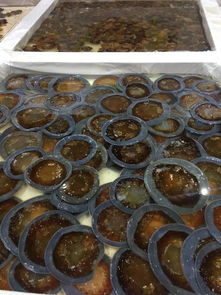 2019中國營口海蜇節盛大開幕 特色產品匯聚，海濱盛宴邀您共赴