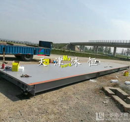 供應食品廠專用3×18米100噸物聯網電子地磅高清展示與海蜇生產應用