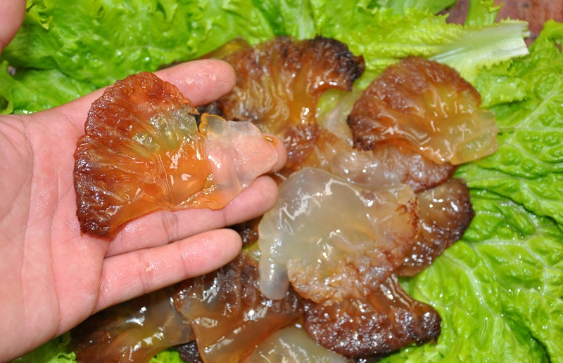 濟南海鮮市場迎來旺季，掌握挑選海蜇的實用技巧