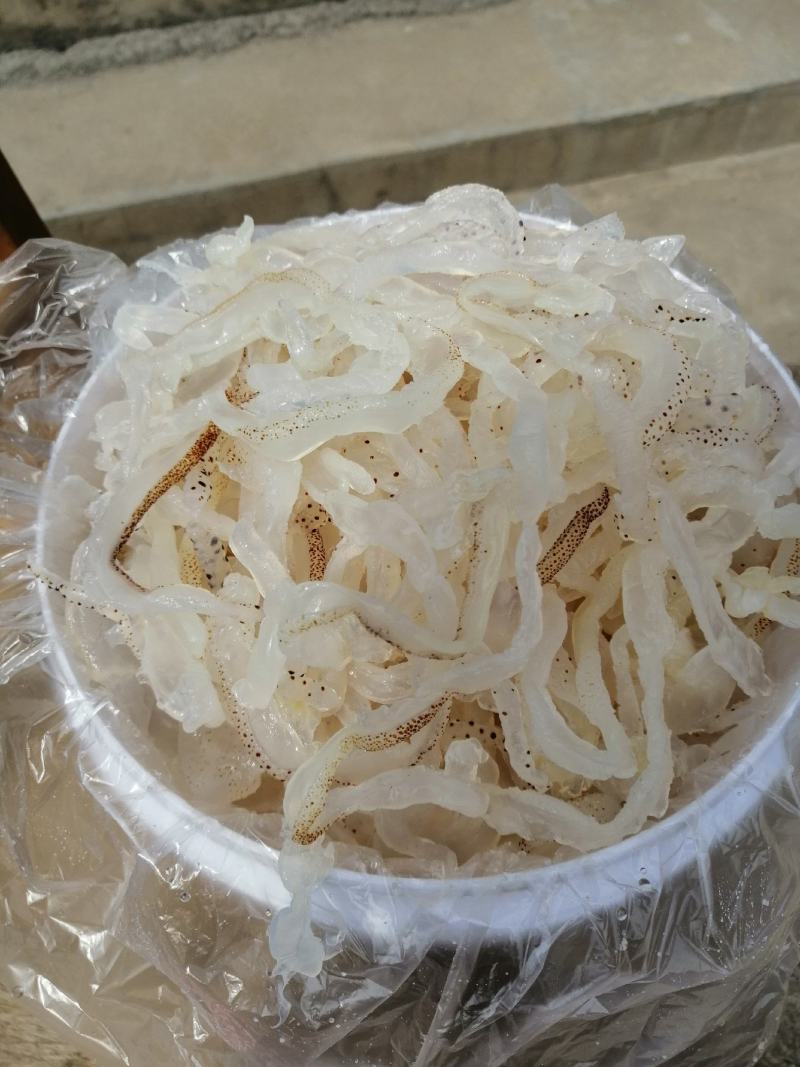 濱州沾化海蜇 海味珍品，品鮮嘗脆正當時